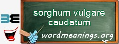 WordMeaning blackboard for sorghum vulgare caudatum